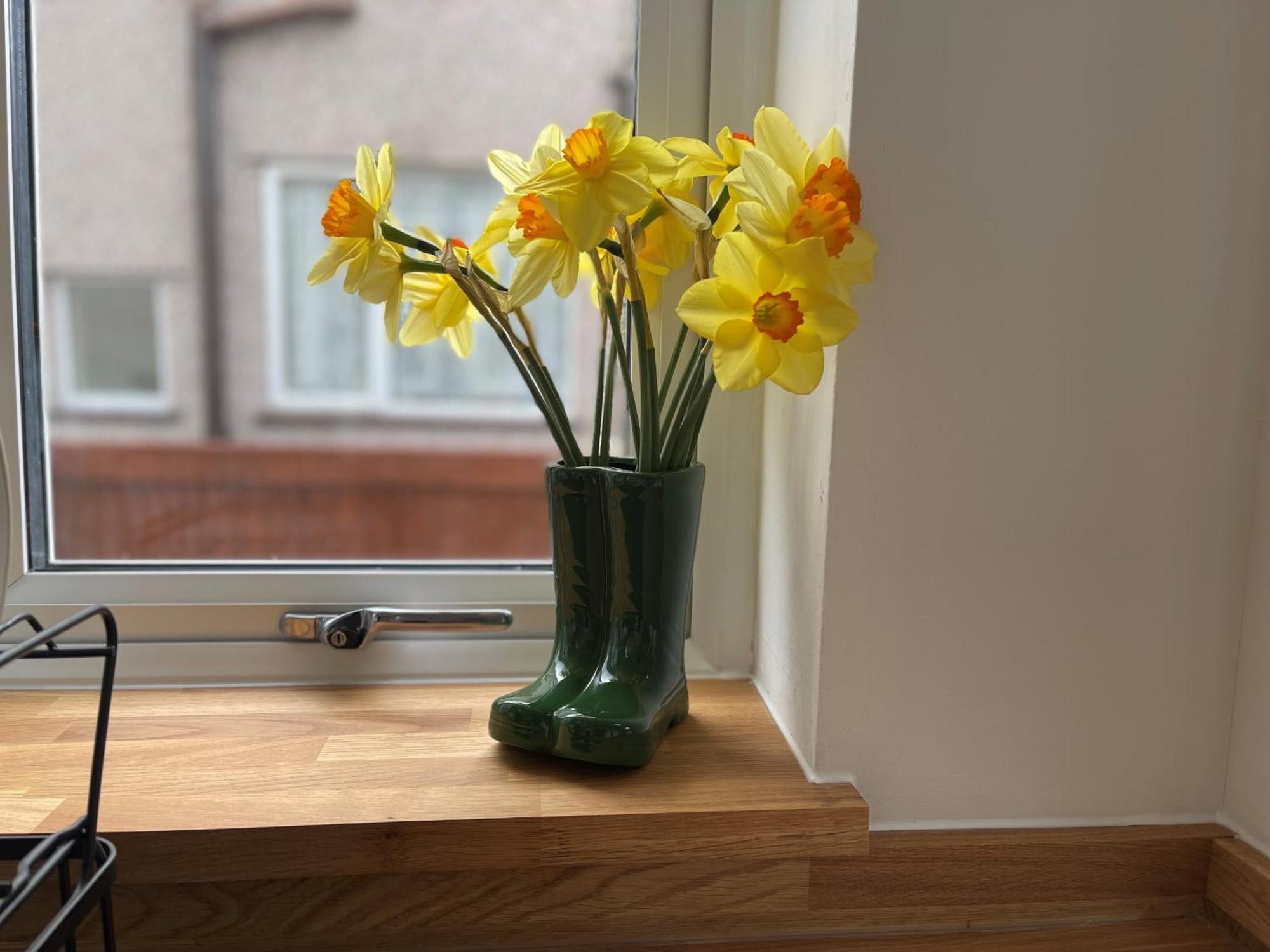 45 Mold Road Daire Wrexham Dış mekan fotoğraf